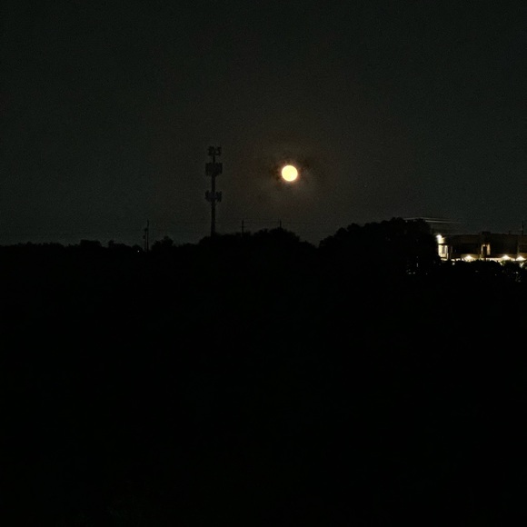 NEW LISTINGS WEEKLY!!! Hello gorgeous, I’m a Posh Mentor! - Picture 8 of 11